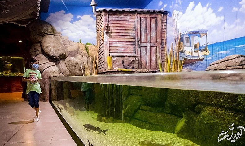 (تصاویر) آکواریوم انزلی